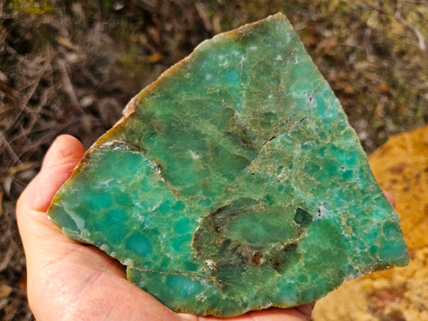 Polished  Chrysoprase  CH468