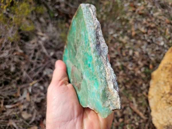 Polished  Chrysoprase  CH468