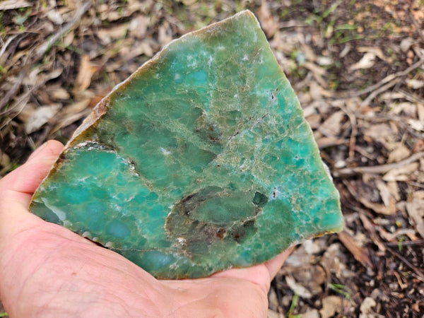 Polished  Chrysoprase  CH468