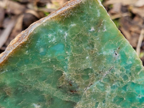 Polished  Chrysoprase  CH468