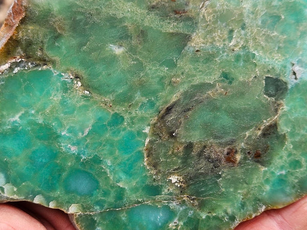 Polished  Chrysoprase  CH468