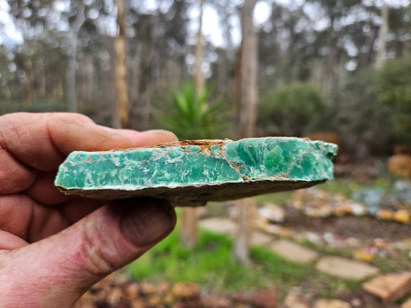 Variscite rough. VR563