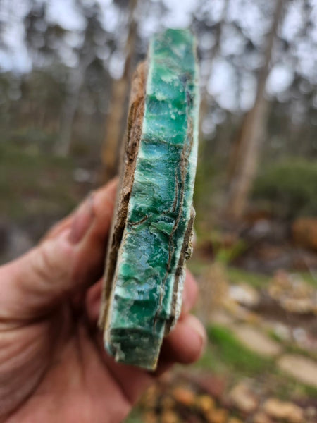 Variscite rough. VR563