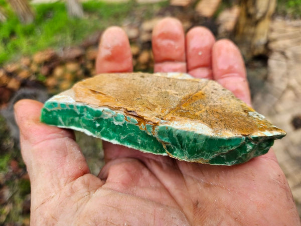 Variscite rough. VR563