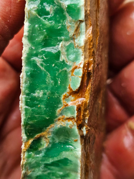 Variscite rough. VR563