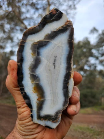 Polished Pilbara Agate PA269