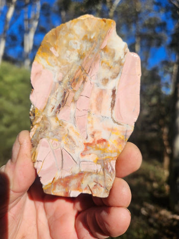 Polished Brecciated Pink Opal  slab POP194