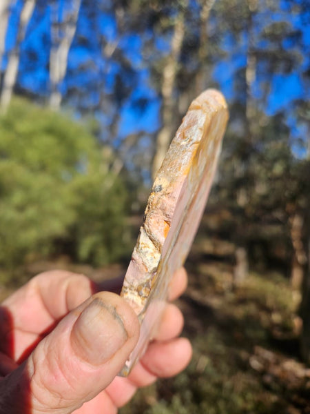 Polished Brecciated Pink Opal  slab POP194