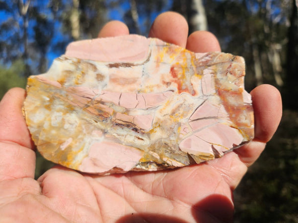 Polished Brecciated Pink Opal  slab POP194