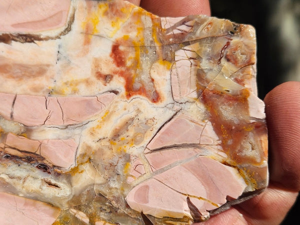 Polished Brecciated Pink Opal  slab POP194