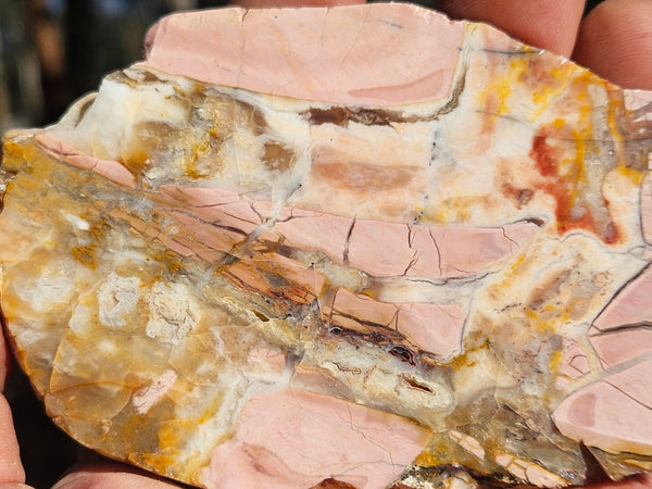 Polished Brecciated Pink Opal  slab POP194