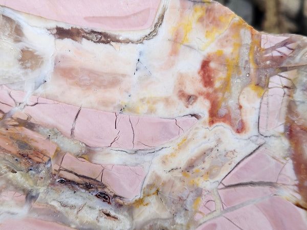 Polished Brecciated Pink Opal  slab POP194