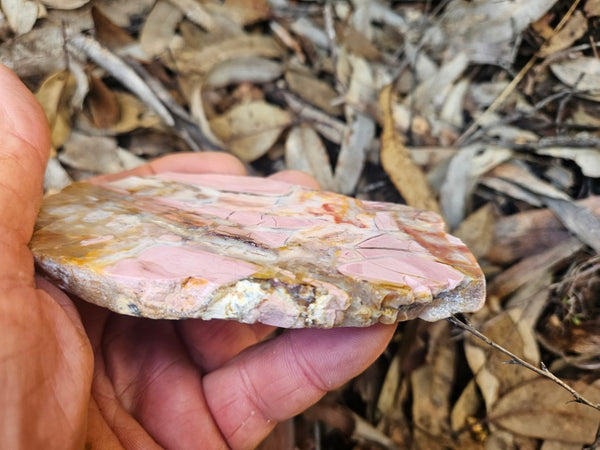 Polished Brecciated Pink Opal  slab POP194