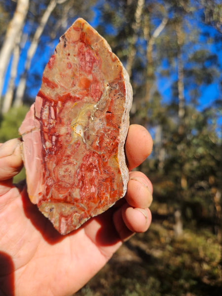 Polished Brecciated Pink Opal  slab POP195