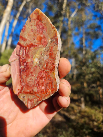 Polished Brecciated Pink Opal  slab POP195