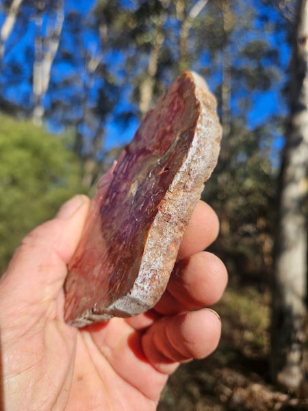 Polished Brecciated Pink Opal  slab POP195