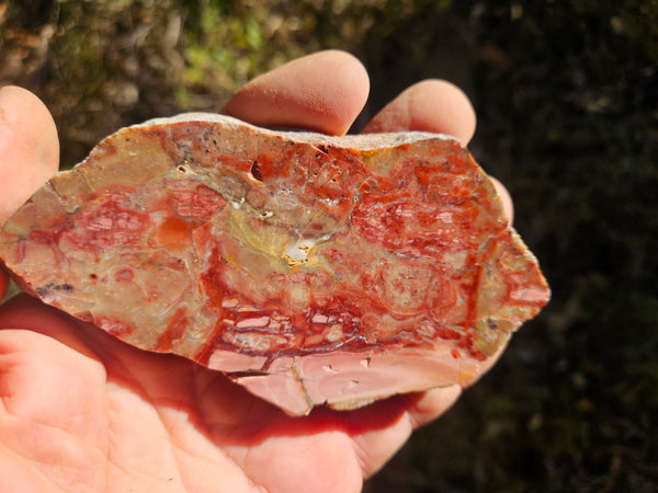 Polished Brecciated Pink Opal  slab POP195