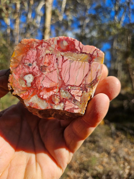 Polished Brecciated Pink Opal  POP196