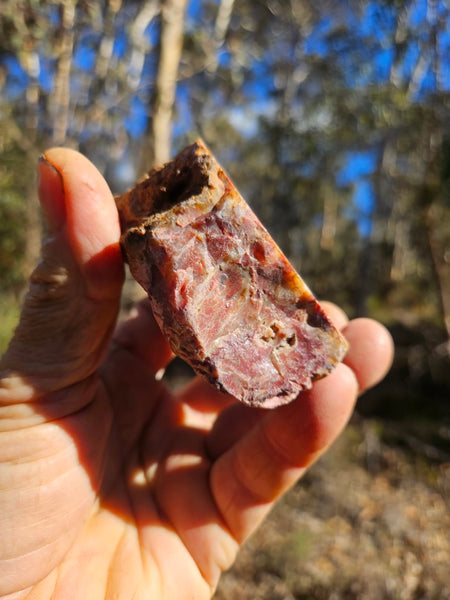 Polished Brecciated Pink Opal  POP196