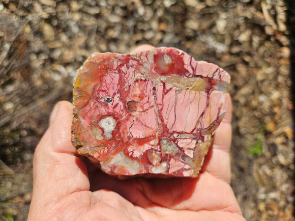 Polished Brecciated Pink Opal  POP196