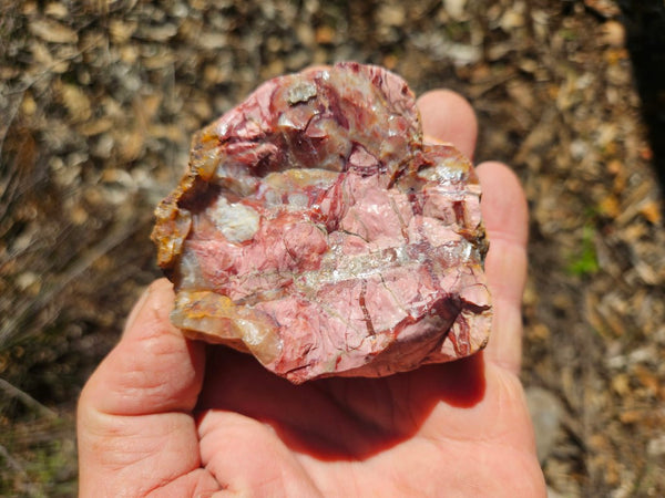 Polished Brecciated Pink Opal  POP196