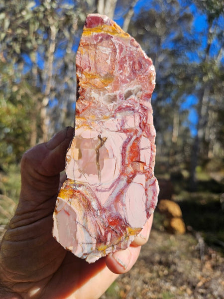 Polished Brecciated Pink Opal  POP197