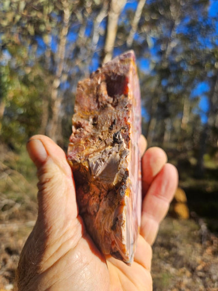 Polished Brecciated Pink Opal  POP197