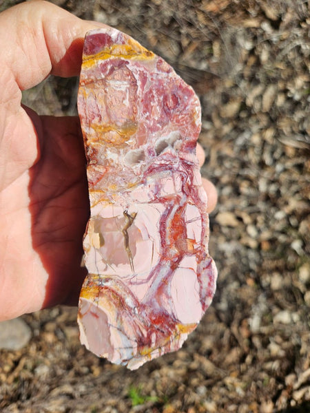 Polished Brecciated Pink Opal  POP197