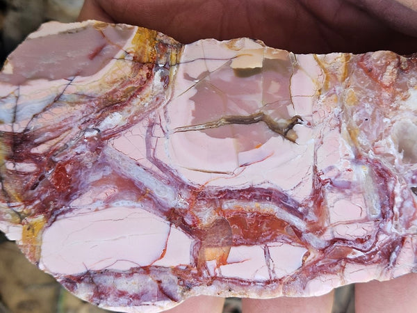 Polished Brecciated Pink Opal  POP197