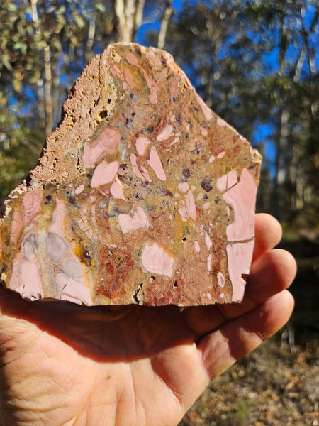 Polished Brecciated Pink Opal  slab POP198