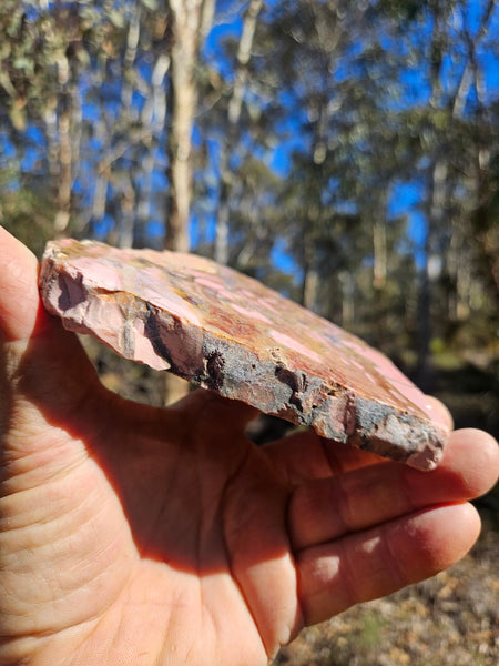 Polished Brecciated Pink Opal  slab POP198