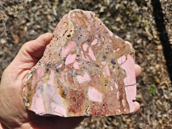 Polished Brecciated Pink Opal  slab POP198