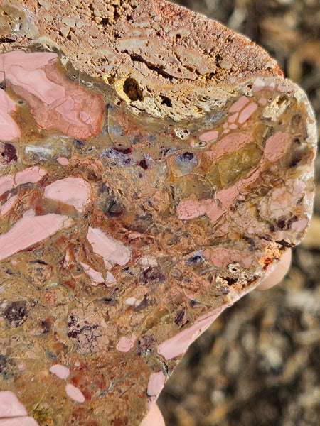 Polished Brecciated Pink Opal  slab POP198