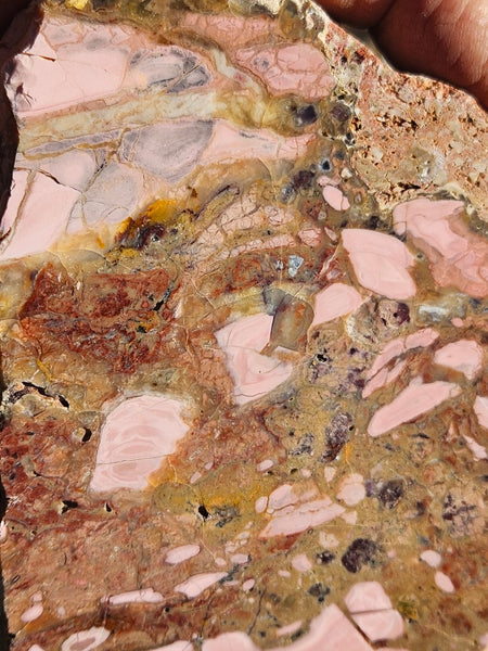 Polished Brecciated Pink Opal  slab POP198