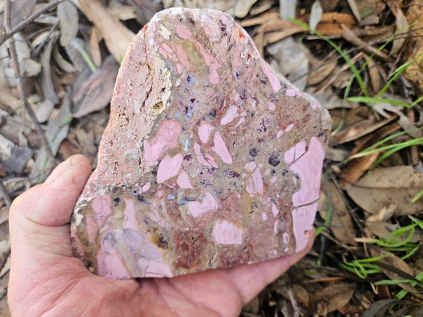 Polished Brecciated Pink Opal  slab POP198