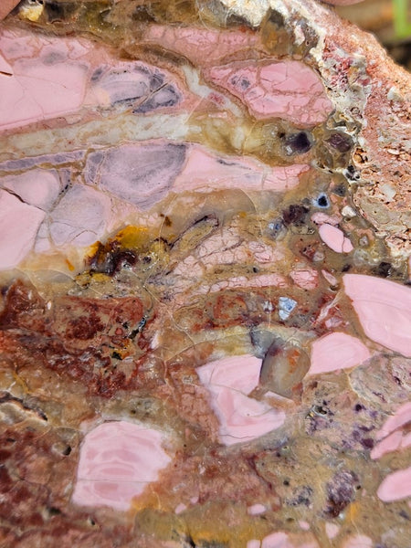 Polished Brecciated Pink Opal  slab POP198