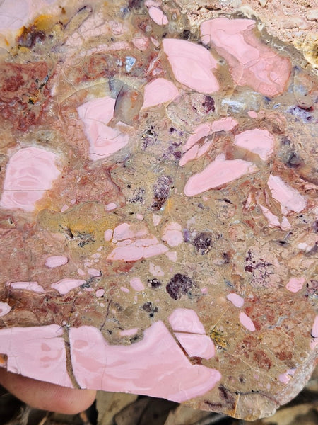 Polished Brecciated Pink Opal  slab POP198