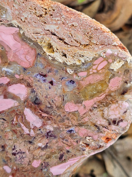 Polished Brecciated Pink Opal  slab POP198