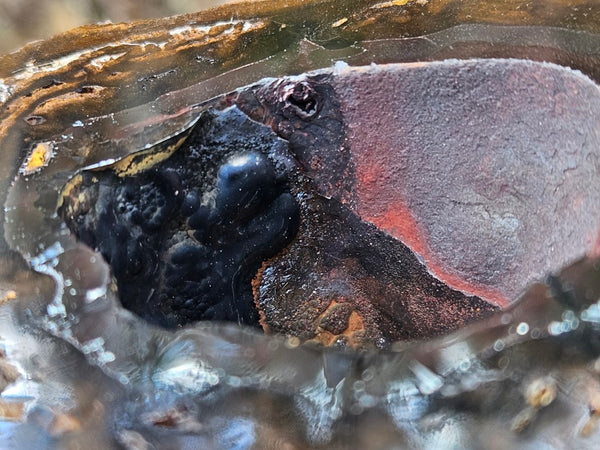 Hematite Geode  HEM141