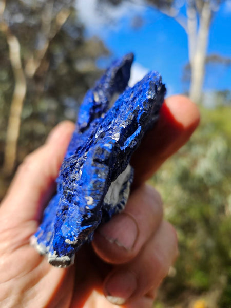 Azurite Sun  AZ138