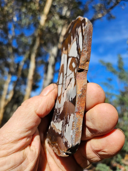 Polished Outback Jasper slab OJ184