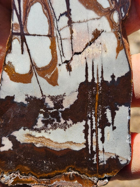 Polished Outback Jasper slab OJ184