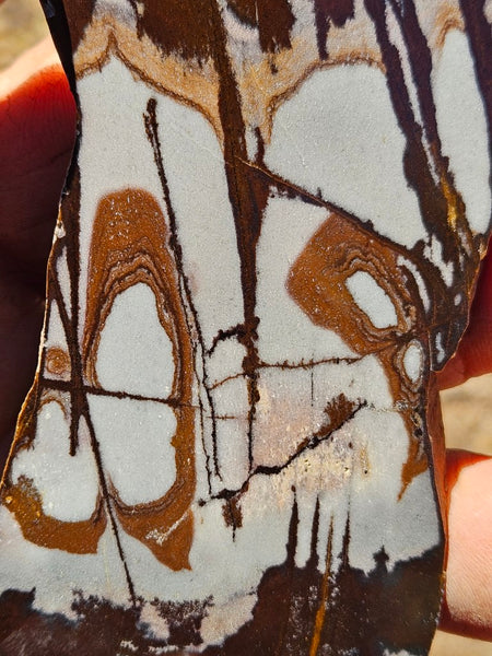 Polished Outback Jasper slab OJ184