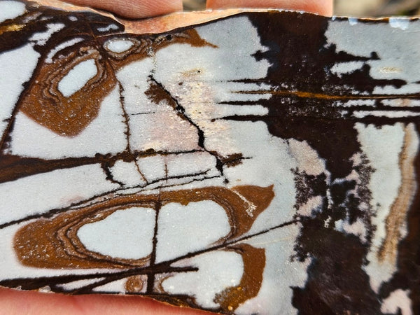 Polished Outback Jasper slab OJ184