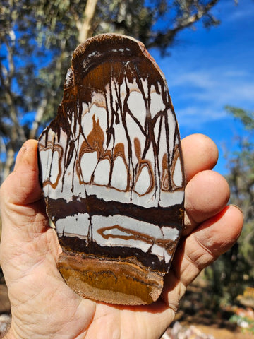 Polished Outback Jasper slab OJ185