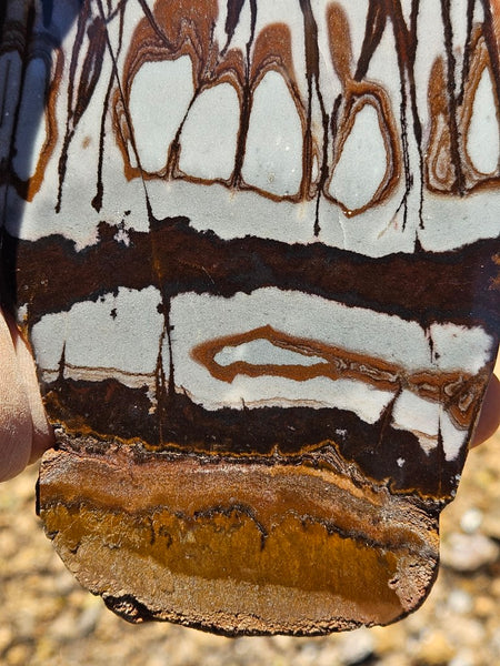 Polished Outback Jasper slab OJ185