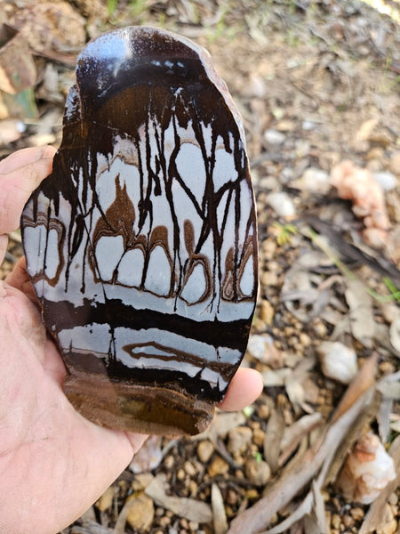 Polished Outback Jasper slab OJ185