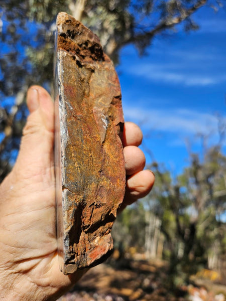 Polished Outback Jasper  OJ183