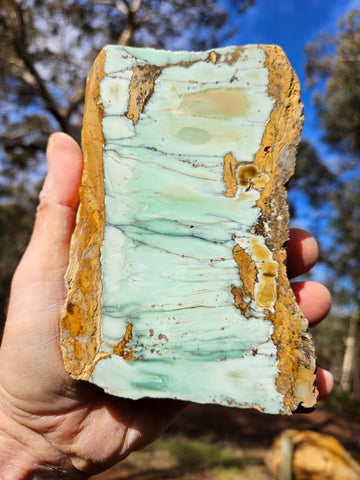 Polished Variscite   VP277