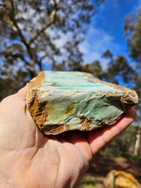 Polished Variscite   VP277